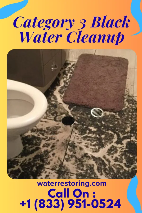 Category 3 Black Water Cleanup in Jerry City, OH