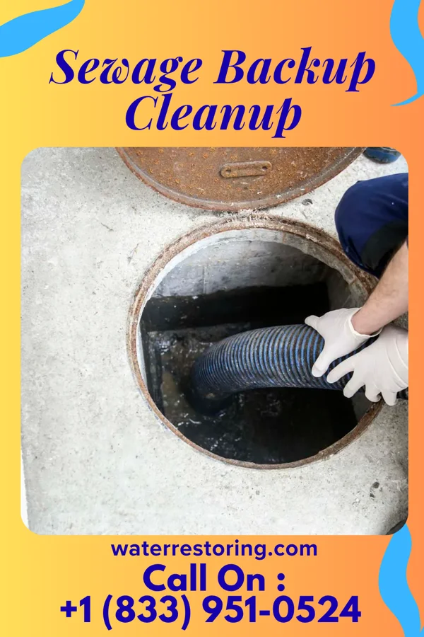 Sewage Backup Cleanup in Jerry City, OH